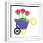 White Frame