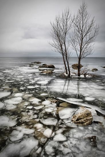 Photographic Print, , large