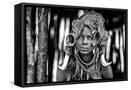 Framed Canvas