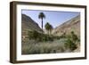 Vega De Rio Palmas, Fuerteventura, Canary Islands-Peter Thompson-Framed Photographic Print