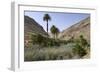 Vega De Rio Palmas, Fuerteventura, Canary Islands-Peter Thompson-Framed Photographic Print