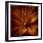 Vega II-Irene Suchocki-Framed Giclee Print