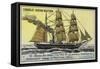 Vega, Ship Used on Adolf Erik Nordenskiold's Expedition to the Northwest Passage, 1878-1879-null-Framed Stretched Canvas