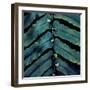 Vega V-Irene Suchocki-Framed Giclee Print