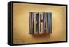 Vegan-enterlinedesign-Framed Stretched Canvas