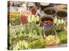 Vegetable and Food, Khon Kaen, Thailand-Gavriel Jecan-Stretched Canvas