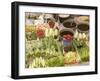 Vegetable and Food, Khon Kaen, Thailand-Gavriel Jecan-Framed Photographic Print