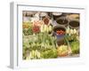 Vegetable and Food, Khon Kaen, Thailand-Gavriel Jecan-Framed Photographic Print