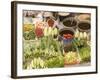 Vegetable and Food, Khon Kaen, Thailand-Gavriel Jecan-Framed Photographic Print