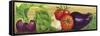 Vegetable Box-Gigi Begin-Framed Stretched Canvas