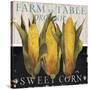 Vegetable Farm Fresh I-Elizabeth Medley-Stretched Canvas