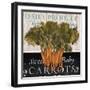 Vegetable Farm Fresh II-Elizabeth Medley-Framed Art Print