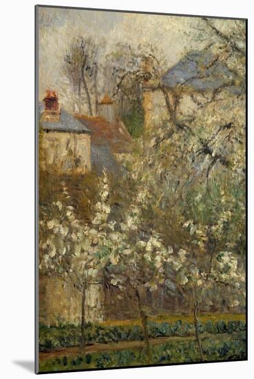 Vegetable Garden and Trees in Bloom in Spring in Pontoise (Plum Trees in Bloom) Detail. Painting By-Camille Pissarro-Mounted Giclee Print