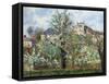 Vegetable Garden and Trees in Blossom, Spring, Pontoise-Camille Pissarro-Framed Stretched Canvas