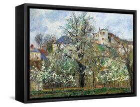 Vegetable Garden and Trees in Blossom, Spring, Pontoise-Camille Pissarro-Framed Stretched Canvas