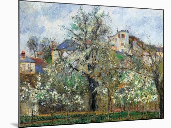 Vegetable Garden and Trees in Blossom, Spring, Pontoise-Camille Pissarro-Mounted Art Print