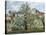 Vegetable Garden and Trees in Blossom, Spring, Pontoise-Camille Pissarro-Stretched Canvas