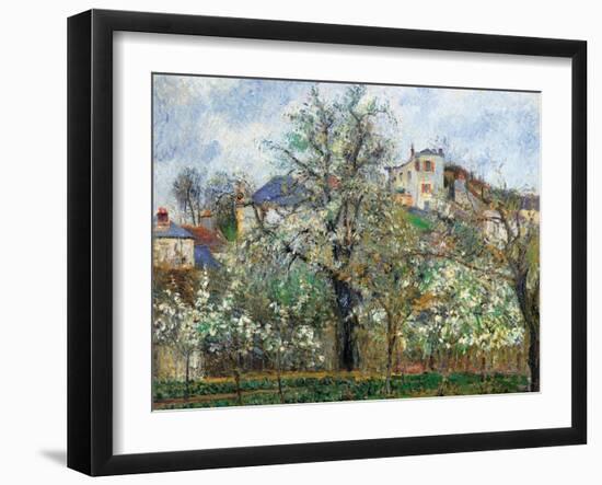 Vegetable Garden and Trees in Blossom, Spring, Pontoise-Camille Pissarro-Framed Art Print