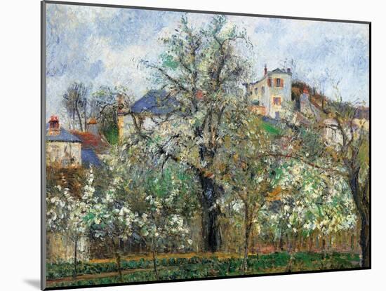 Vegetable Garden and Trees in Blossom, Spring, Pontoise-Camille Pissarro-Mounted Art Print