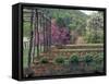 Vegetable Garden at Monticello, Thomas Jefferson's Home in Charlottesville, Virginia-null-Framed Stretched Canvas