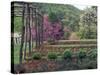 Vegetable Garden at Monticello, Thomas Jefferson's Home in Charlottesville, Virginia-null-Stretched Canvas