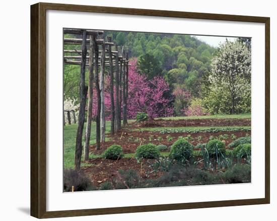 Vegetable Garden at Monticello, Thomas Jefferson's Home in Charlottesville, Virginia-null-Framed Photographic Print