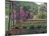 Vegetable Garden at Monticello, Thomas Jefferson's Home in Charlottesville, Virginia-null-Mounted Photographic Print