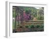 Vegetable Garden at Monticello, Thomas Jefferson's Home in Charlottesville, Virginia-null-Framed Photographic Print