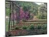 Vegetable Garden at Monticello, Thomas Jefferson's Home in Charlottesville, Virginia-null-Mounted Photographic Print