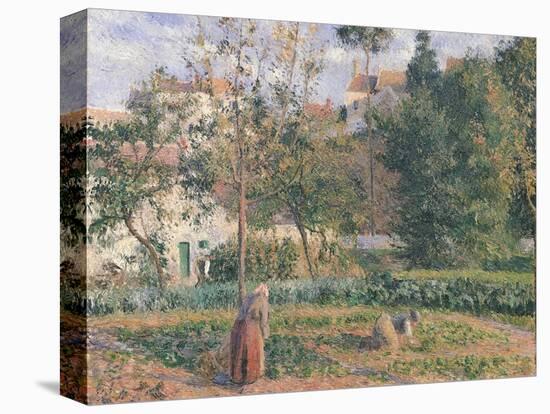 Vegetable Garden at the Hermitage, Pontoise, 1879-Camille Pissarro-Stretched Canvas