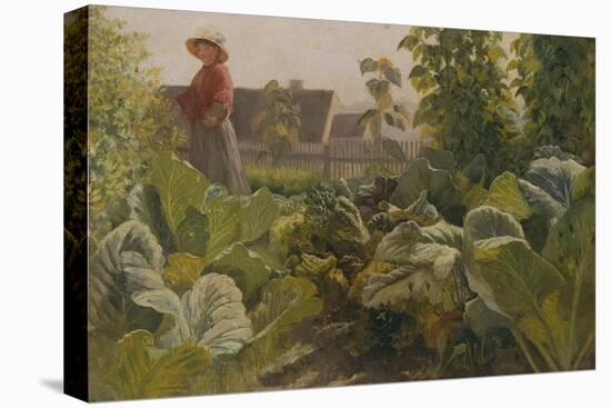 Vegetable garden, Schrobenhausen, Germany-Franz Von Lenbach-Stretched Canvas