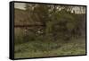 Vegetable Garden-Anton Mauve-Framed Stretched Canvas