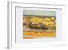 Vegetable Gardens-Vincent van Gogh-Framed Art Print