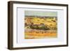 Vegetable Gardens-Vincent van Gogh-Framed Art Print