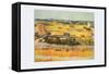 Vegetable Gardens-Vincent van Gogh-Framed Stretched Canvas