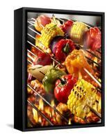 Vegetable Kebabs on Barbecue-Paul Williams-Framed Stretched Canvas