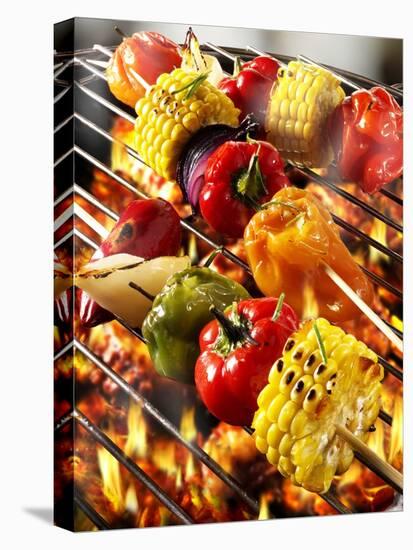 Vegetable Kebabs on Barbecue-Paul Williams-Stretched Canvas