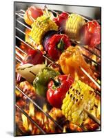 Vegetable Kebabs on Barbecue-Paul Williams-Mounted Photographic Print