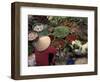 Vegetable Market, Hue, Vietnam-Keren Su-Framed Photographic Print