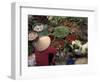 Vegetable Market, Hue, Vietnam-Keren Su-Framed Photographic Print