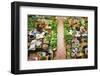 Vegetable Market in Kota Bharu, Kelantan, Malaysia, Asia-szefei-Framed Photographic Print