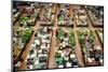 Vegetable Market in Kota Bharu, Kelantan, Malaysia, Asia-szefei-Mounted Photographic Print