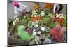 Vegetable Market, Jaisalmer, Western Rajasthan, India, Asia-Doug Pearson-Mounted Photographic Print