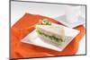 Vegetable Sandwich 2-highviews-Mounted Photographic Print