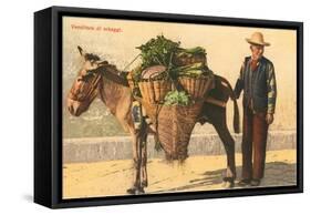 Vegetable Seller with Donkey, Italy-null-Framed Stretched Canvas