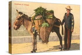 Vegetable Seller with Donkey, Italy-null-Stretched Canvas
