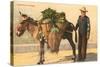 Vegetable Seller with Donkey, Italy-null-Stretched Canvas