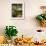 Vegetable Stall at Saturday Market, Salamanca Place, Hobart, Tasmania, Australia-David Wall-Framed Photographic Print displayed on a wall