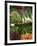 Vegetable Stall at Saturday Market, Salamanca Place, Hobart, Tasmania, Australia-David Wall-Framed Photographic Print