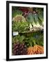 Vegetable Stall at Saturday Market, Salamanca Place, Hobart, Tasmania, Australia-David Wall-Framed Photographic Print